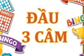 Đầu 3 câm hôm sau đánh lô con gì hôm nay ăn thông?