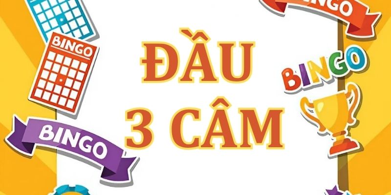 Đầu 3 câm hôm sau đánh lô con gì hôm nay ăn thông?