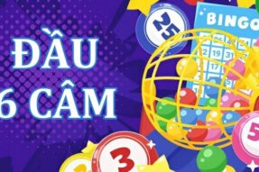 Đầu 6 câm đánh con gì hôm sau trúng thưởng giải lớn